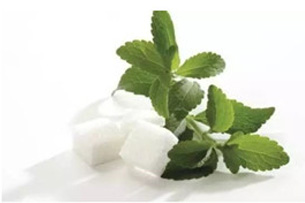 Membrane for Stevia Production